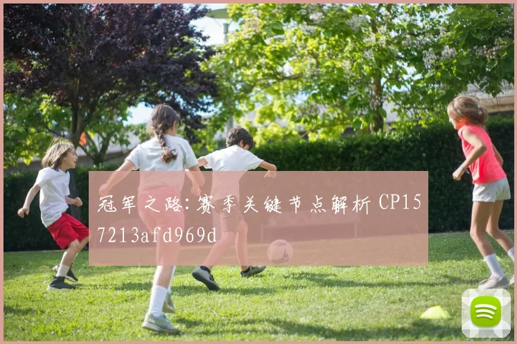 冠军之路:赛季关键节点解析 CP157213afd969d