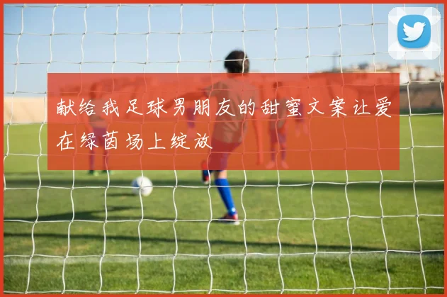 献给我足球男朋友的甜蜜文案让爱在绿茵场上绽放