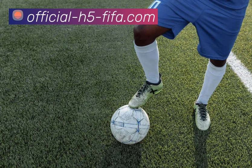 买球有限公司发展历程